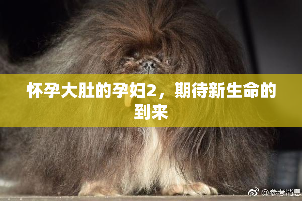 怀孕大肚的孕妇2，期待新生命的到来