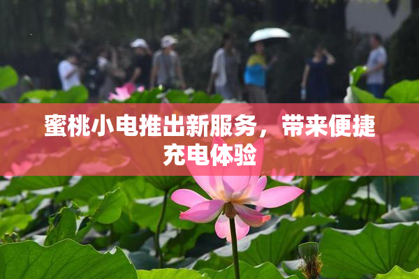 蜜桃小电推出新服务，带来便捷充电体验