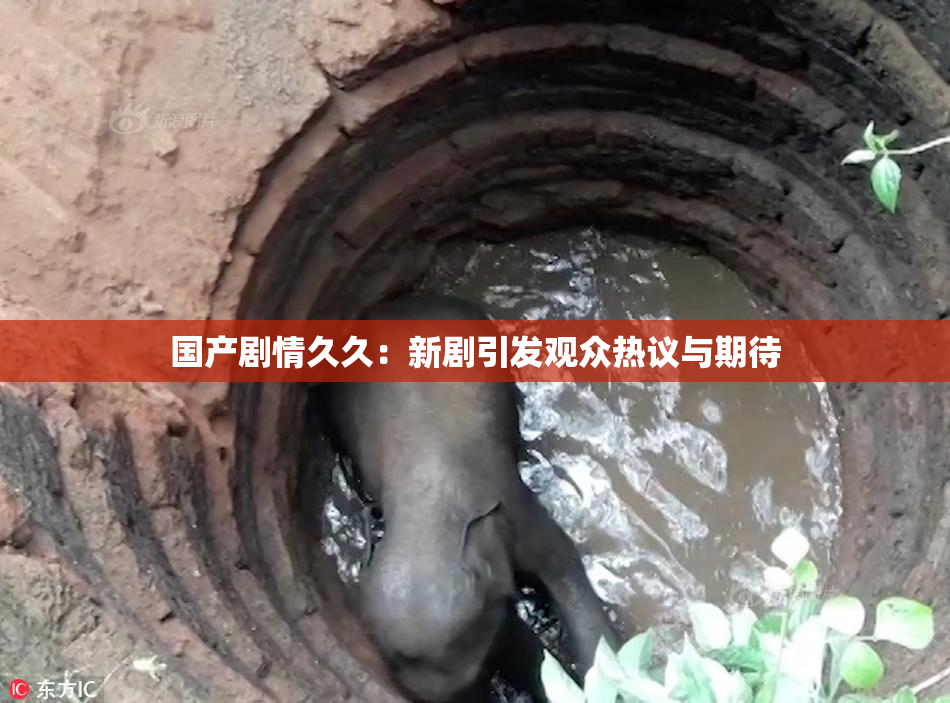 国产剧情久久：新剧引发观众热议与期待