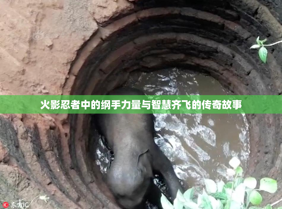 火影忍者中的纲手力量与智慧齐飞的传奇故事
