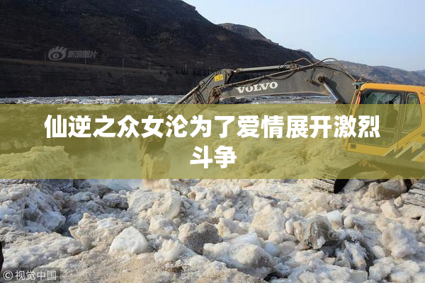 仙逆之众女沦为了爱情展开激烈斗争