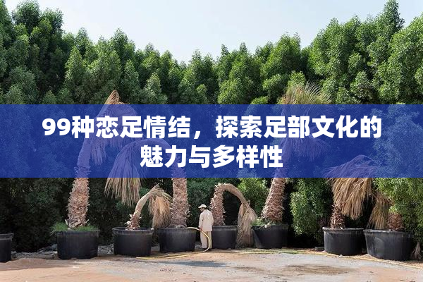 99种恋足情结，探索足部文化的魅力与多样性