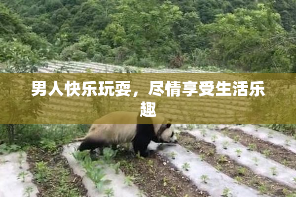 男人快乐玩耍，尽情享受生活乐趣