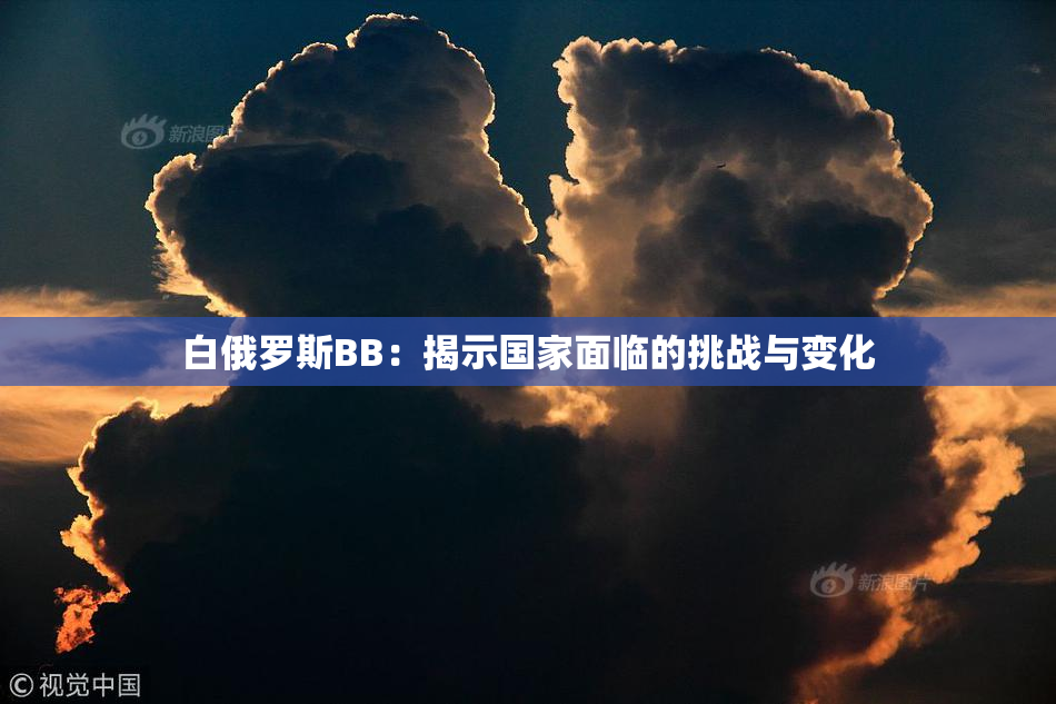 白俄罗斯BB：揭示国家面临的挑战与变化