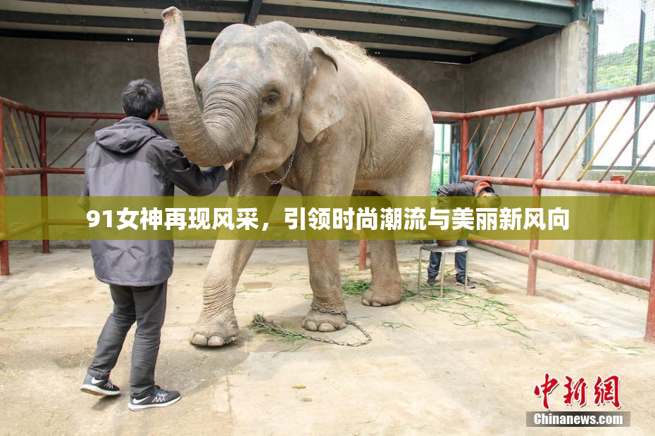 91女神再现风采，引领时尚潮流与美丽新风向