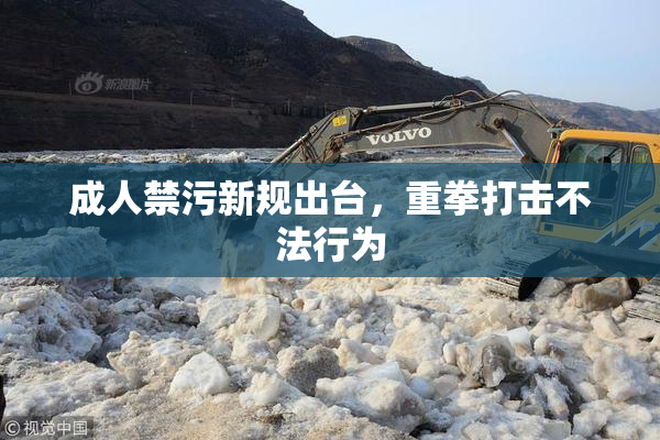成人禁污新规出台，重拳打击不法行为