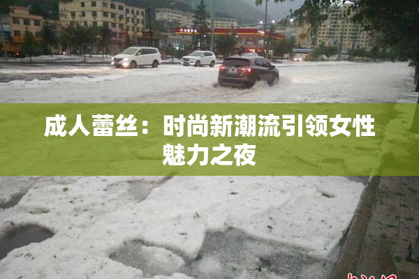 成人蕾丝：时尚新潮流引领女性魅力之夜