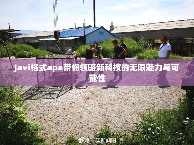 Javi格式apa带你领略新科技的无限魅力与可能性