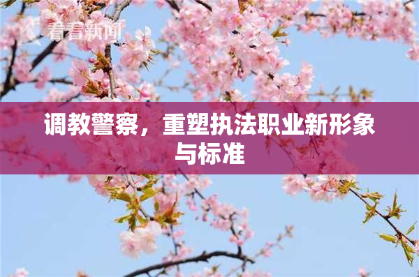调教警察，重塑执法职业新形象与标准