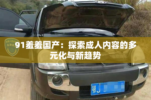 91羞羞国产：探索成人内容的多元化与新趋势