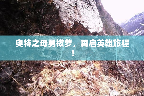奥特之母勇拔萝，再启英雄旅程！