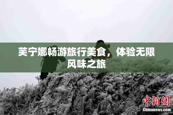芙宁娜畅游旅行美食，体验无限风味之旅