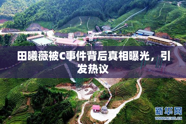 田曦薇被C事件背后真相曝光，引发热议
