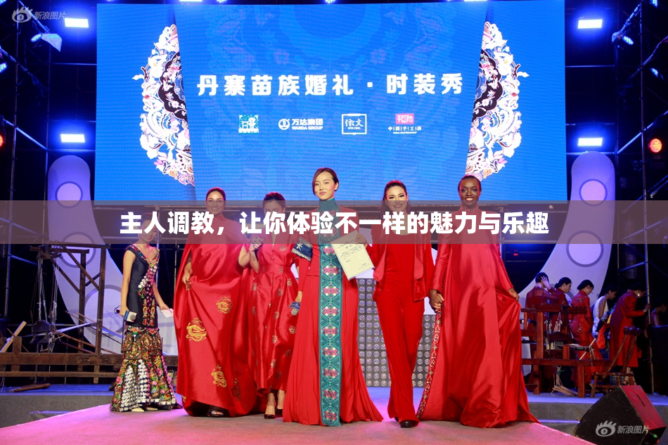 主人调教，让你体验不一样的魅力与乐趣