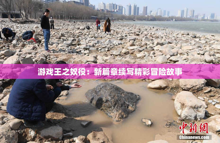 游戏王之奴役：新篇章续写精彩冒险故事