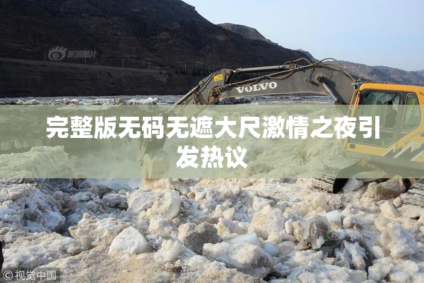 完整版无码无遮大尺激情之夜引发热议