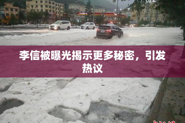 李信被曝光揭示更多秘密，引发热议