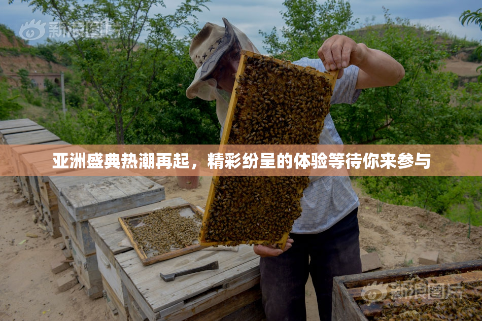 亚洲盛典热潮再起，精彩纷呈的体验等待你来参与