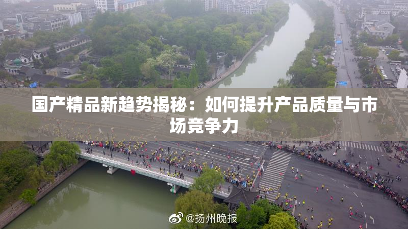 国产精品新趋势揭秘：如何提升产品质量与市场竞争力