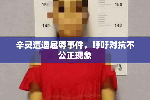 辛灵遭遇屈辱事件，呼吁对抗不公正现象