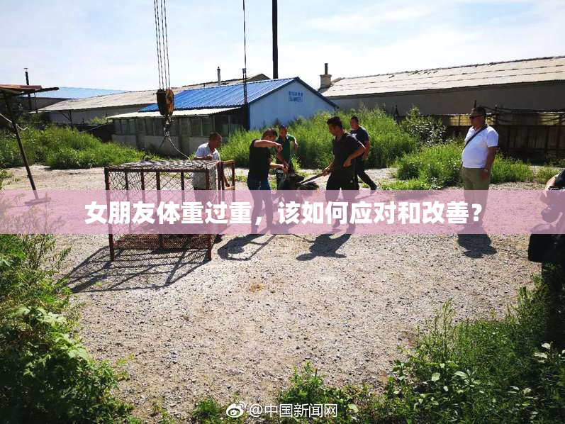 女朋友体重过重，该如何应对和改善？