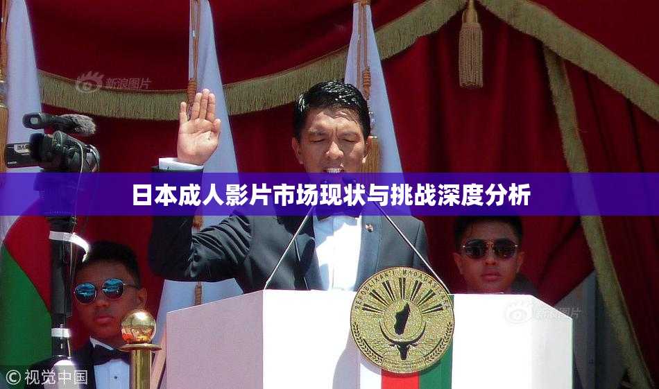 日本成人影片市场现状与挑战深度分析
