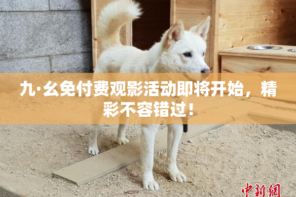 九·幺免付费观影活动即将开始，精彩不容错过！