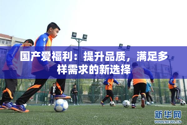 国产爱福利：提升品质，满足多样需求的新选择