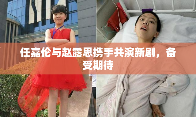 任嘉伦与赵露思携手共演新剧，备受期待