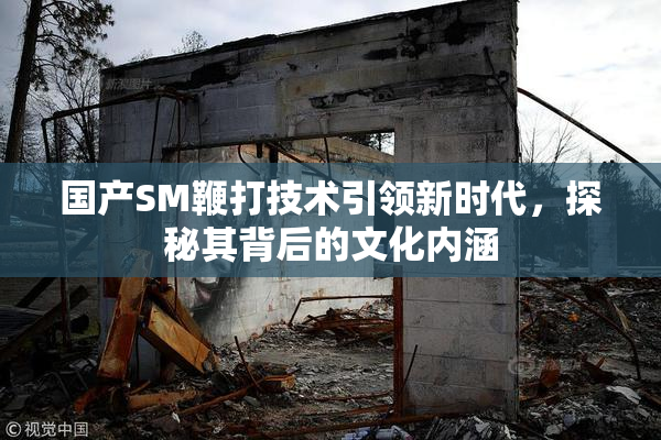 国产SM鞭打技术引领新时代，探秘其背后的文化内涵