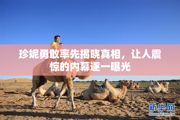 珍妮勇敢率先揭晓真相，让人震惊的内幕逐一曝光