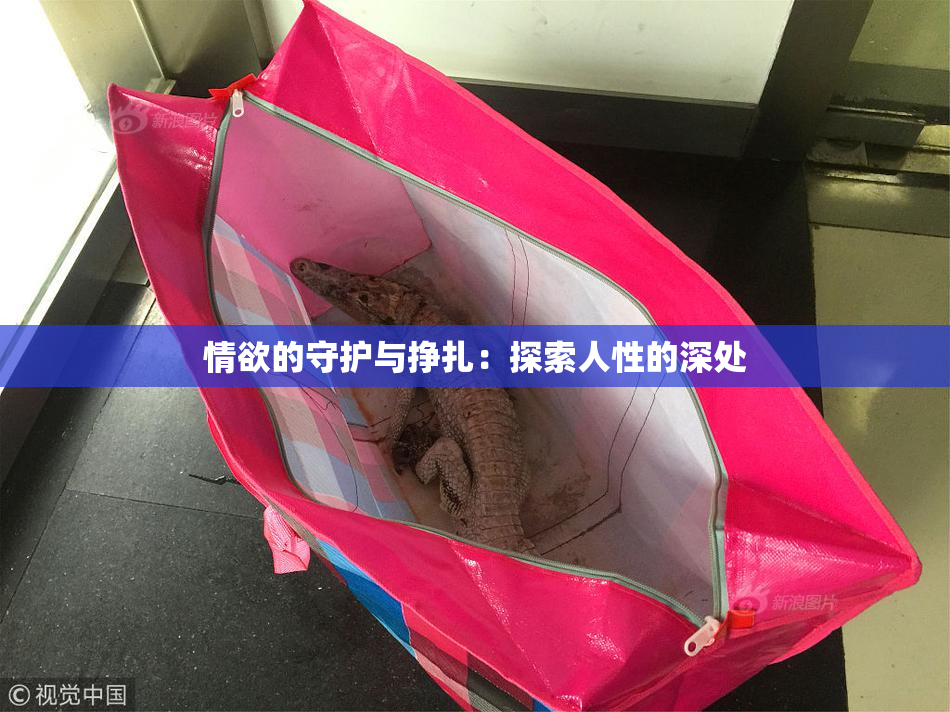 情欲的守护与挣扎：探索人性的深处