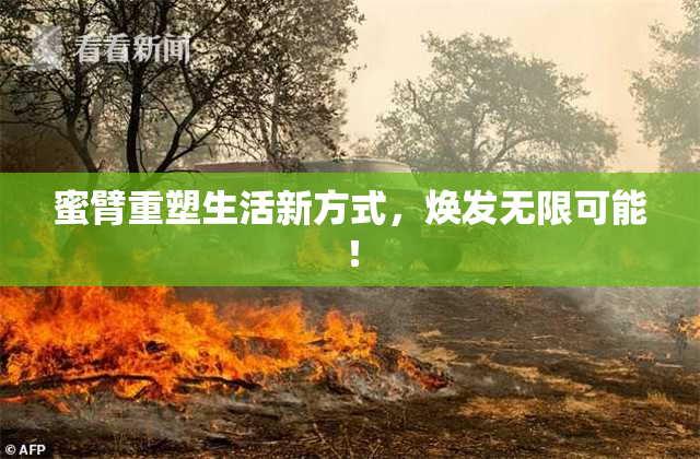 蜜臂重塑生活新方式，焕发无限可能！