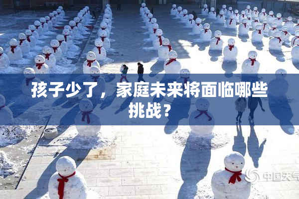 孩子少了，家庭未来将面临哪些挑战？