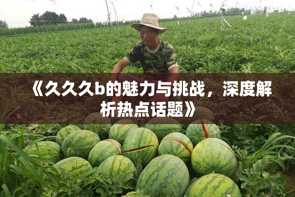 《久久久b的魅力与挑战，深度解析热点话题》