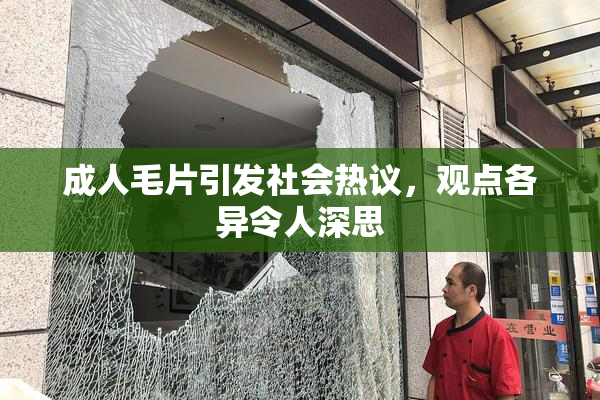 成人毛片引发社会热议，观点各异令人深思
