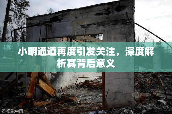 小明通道再度引发关注，深度解析其背后意义