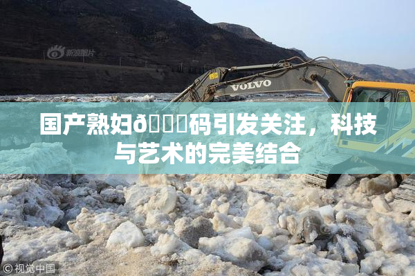 国产熟妇🈚码引发关注，科技与艺术的完美结合