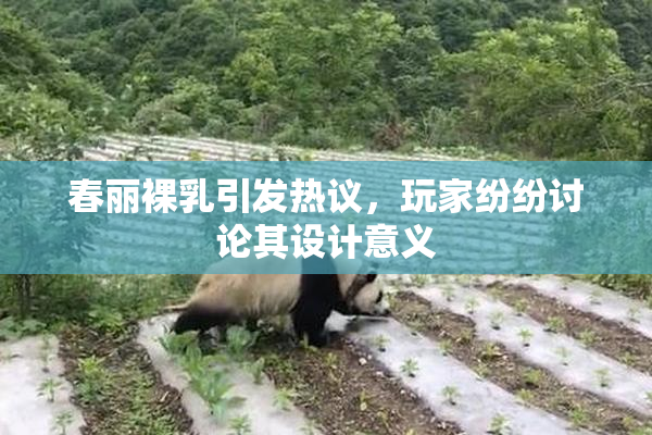 春丽裸乳引发热议，玩家纷纷讨论其设计意义