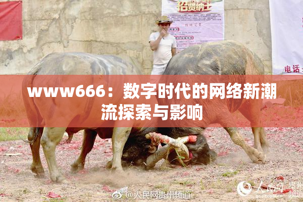www666：数字时代的网络新潮流探索与影响