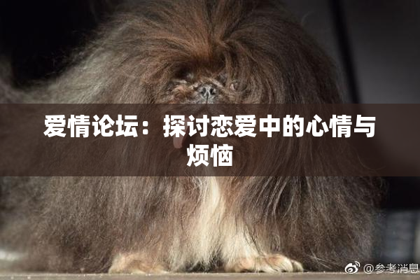 爱情论坛：探讨恋爱中的心情与烦恼
