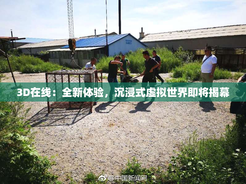 3D在线：全新体验，沉浸式虚拟世界即将揭幕