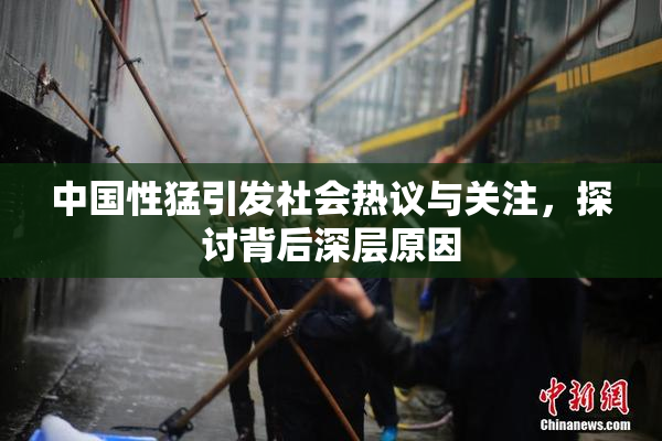 中国性猛引发社会热议与关注，探讨背后深层原因