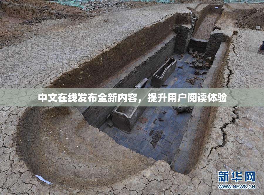 中文在线发布全新内容，提升用户阅读体验