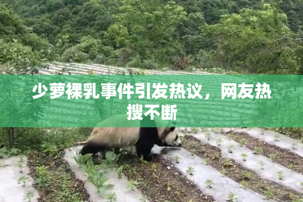 少萝裸乳事件引发热议，网友热搜不断
