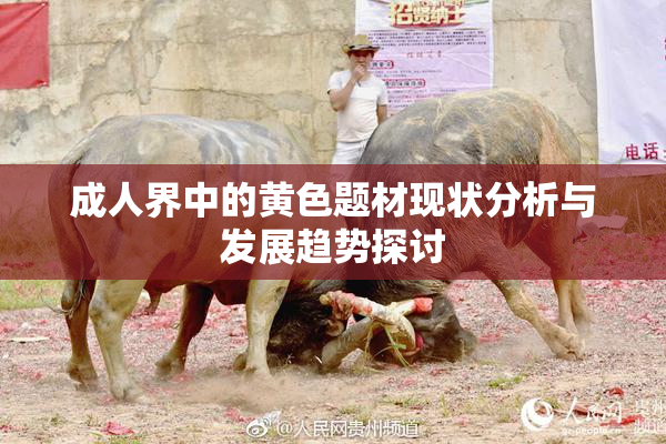 成人界中的黄色题材现状分析与发展趋势探讨