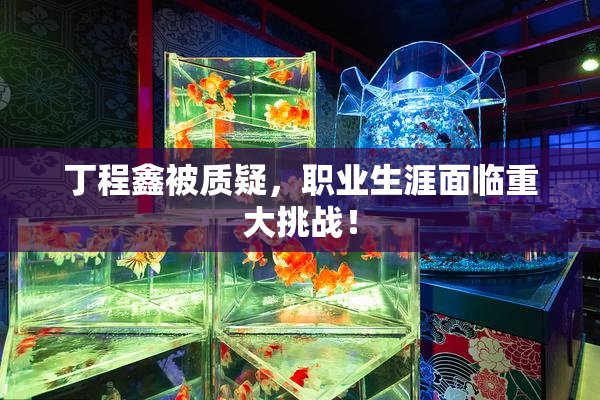 丁程鑫被质疑，职业生涯面临重大挑战！