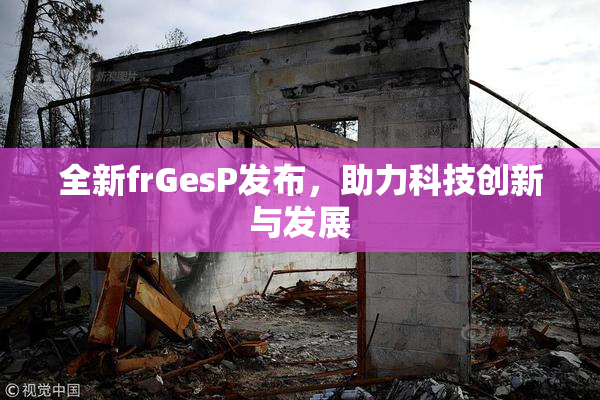 全新frGesP发布，助力科技创新与发展