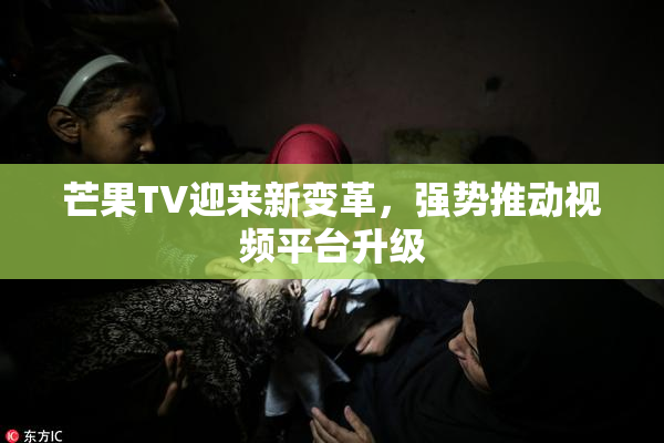 芒果TV迎来新变革，强势推动视频平台升级