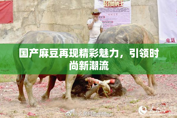 国产麻豆再现精彩魅力，引领时尚新潮流